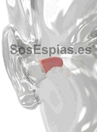 Chuleta Electronica Lar 21 Pro
